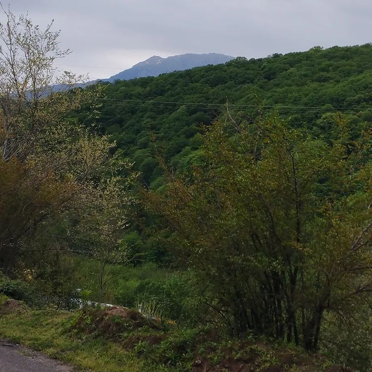 روستای اسکولک گیلان